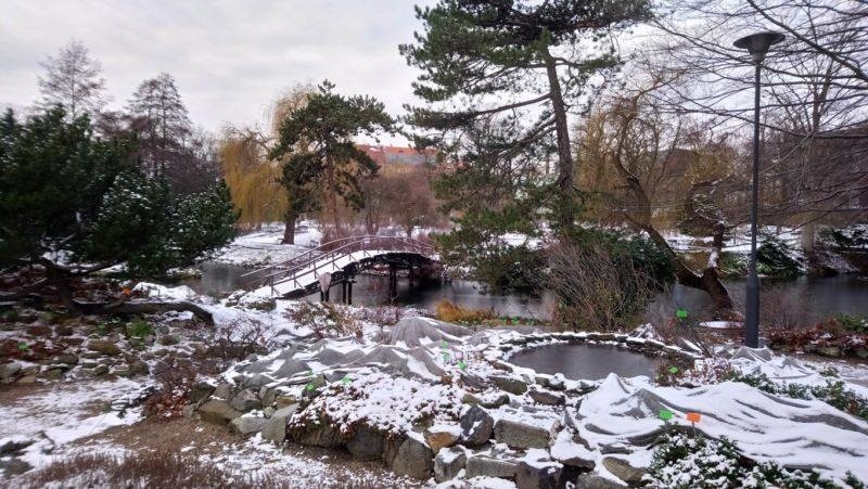 Za kilka dni otwierają Ogród Botaniczny Uniwersytetu Wrocławskiego (ZDJĘCIA)