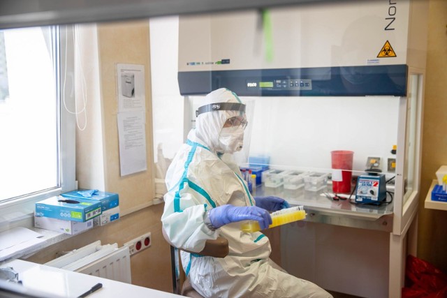 Władze Częstochowy apelują o utworzenie laboratorium badającego próbki na obecność koronawirusa