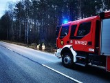 Ponad 40 interwencji strażaków po wichurach w powiecie przysuskim 