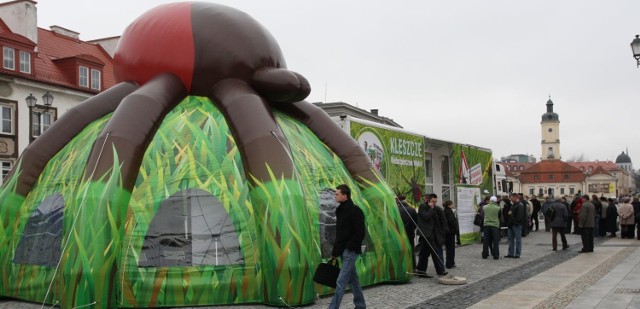 Kleszczobus przyciąga promocyjną cena i niezwykłym widokiem