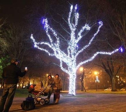 Rozświetlone drzewo w parku Waldorffa.