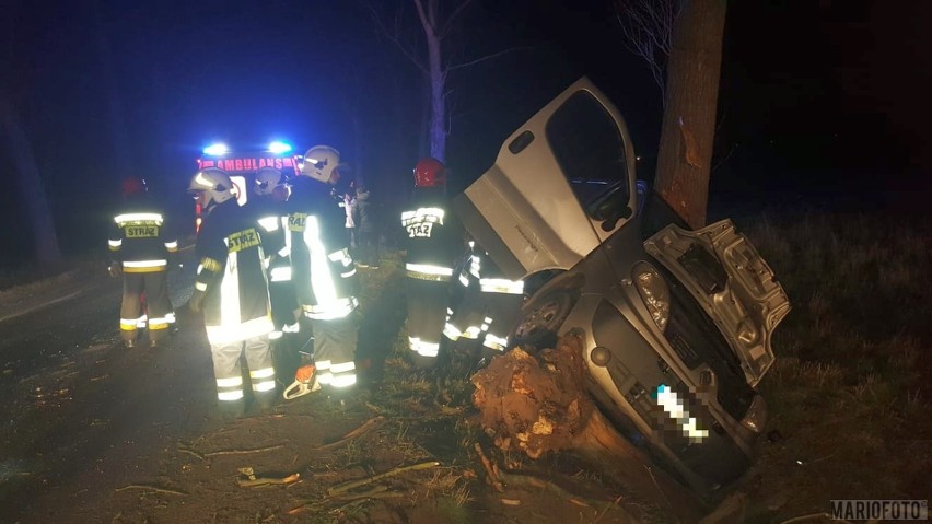 Renault bus wpadł do rowu. W aucie był kierowca i pasażerowie. Nikomu nic się nie stało