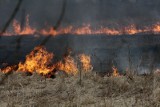 Niemal trzydzieści pożarów traw
