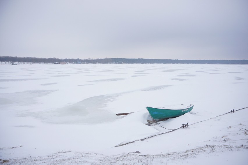 To Syberia? Nie, to Zalew Zemborzycki w śnieżnej odsłonie. Zobacz zdjęcia