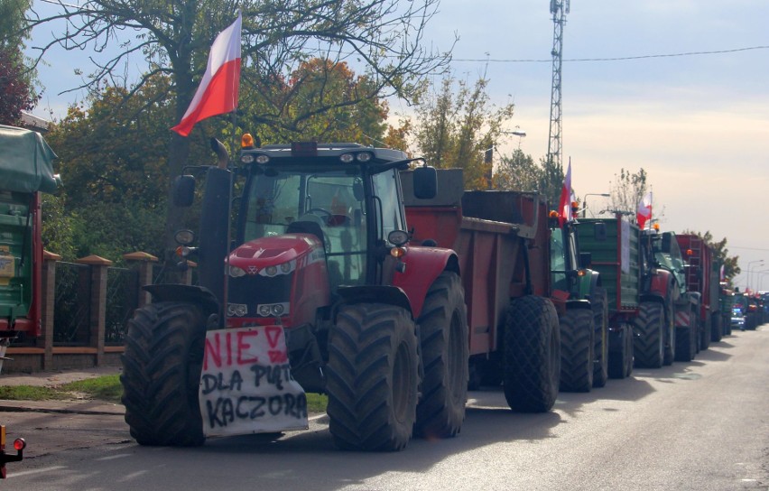 Rolnicy swój protest zaczęli w Wolanowie. Jadą traktorami w...