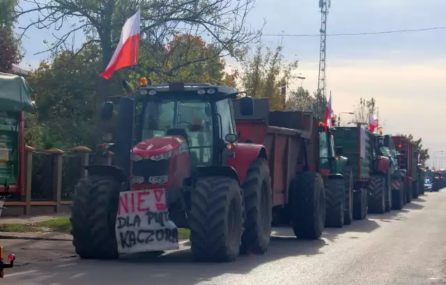 Rolnicy swój protest zaczęli w Wolanowie. Jadą traktorami w stronę Radomia.