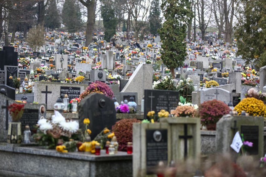 Cmentarze komunalne w Krakowie są przepełnione. Potrzeba nowych