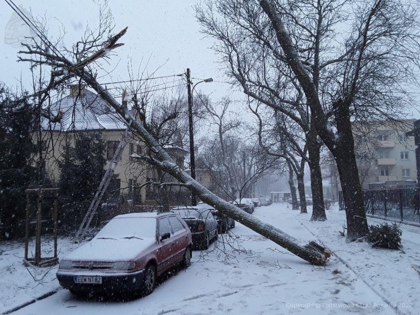 Skutki burzy śnieżnej w Łodzi, która przeszła nad...