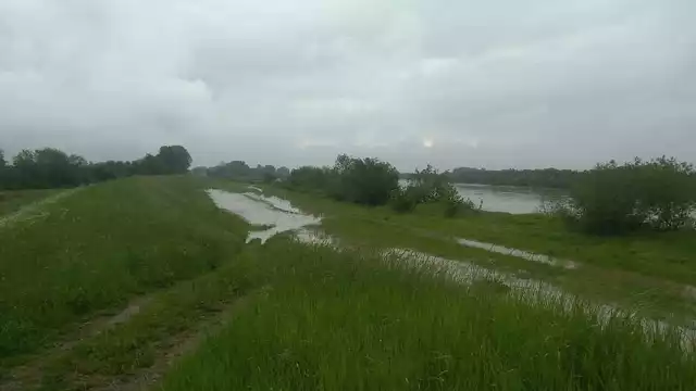 Tak parę dni temu wyglądały wały w okolicach Połańca. Czy u nas będzie podobnie?