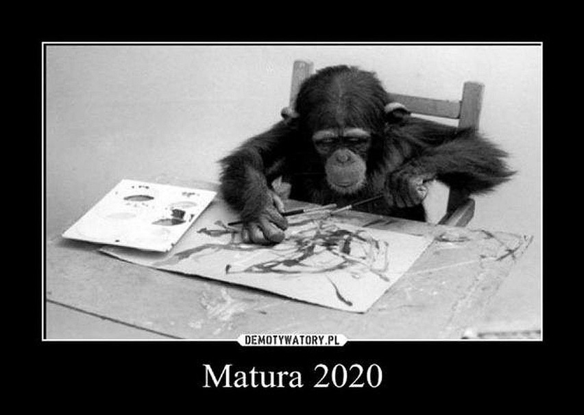 Matura MEMY 2020. Przed nami kolejny dzień egzaminów...