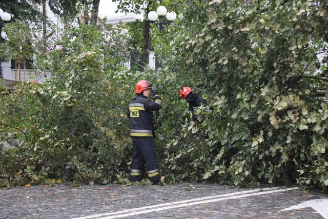 Ubiegłoroczny orkan Ksawery spowodował, że strażacy musieli wyjeżdżać do 1,5 tys. zdarzeń wywołanych wichurą. Ostatniej nocy interweniowali 40 razy.