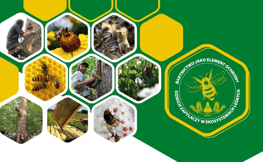 Ogólnopolska konferencja „Bartnictwo jako element ochrony dzikich zapylaczy w ekosystemach leśnych” odbędzie się w Garbatce-Zbyczyn