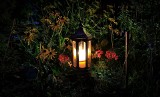 Oświetlenie ogrodowe – jakie wybrać i na co zwracać uwagę podczas zakupu?