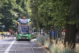 Poznań ma najkrótszą linię tramwajową na świecie?  Trasa 99 ma zaledwie 3 przystanki [11.08.2022]
