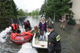 Powódź w Zabrzu, Gliwicach i Przyszowicach 10 lat temu zalała domy, piwnice, szkoły. Zobaczcie zdjęcia z archiwum DZ