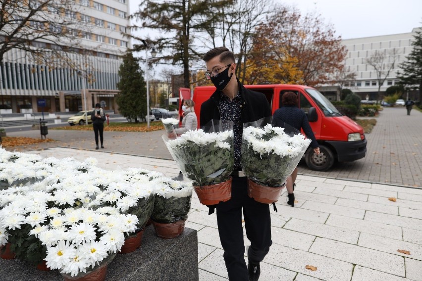 Chryzantemy pod „Maryśką”. Uniwersytet Marii Curie-Skłodowskiej włączył się w pomoc sprzedawcom kwiatów