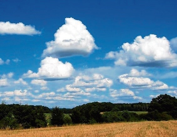 Cumulus humilis - chmury kłębiaste ładnej pogody. Ich widok...