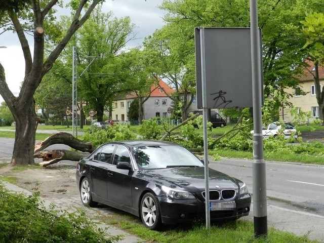 Wichura przewróciła drzewo na ul. Ku Słońcu