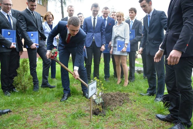 Łąka kwietna powstanie na skwerach przed zawodówką w Oleśnie.