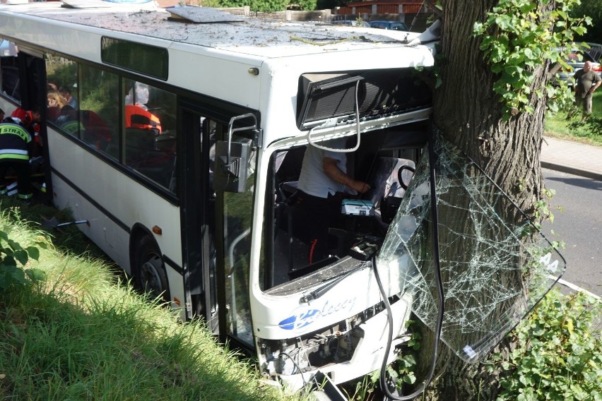 Wypadek w Zarębie pod Lubaniem. Autobus wjechał w drzewo, 22 osoby ranne 