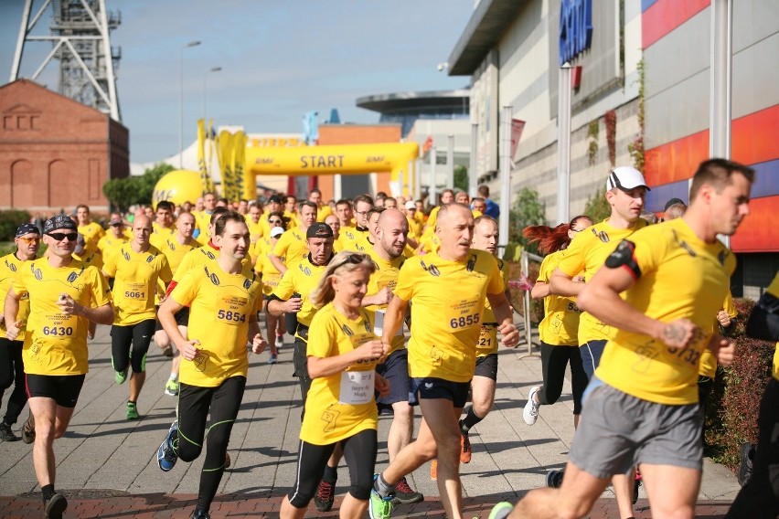 Mini Silesia Marathon