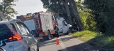 Wypadek w Sławutówku koło Rekowa 8.09.2022. Dostawczak uderzył w drzewo. Kierowca jest ranny