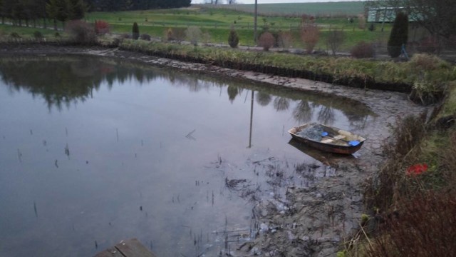 Około 300 sztuk karpia i kilkaset linów wyciągnęli złodzieje ze stawu przy Przystani Wędkarskiej „U Bodzia”.