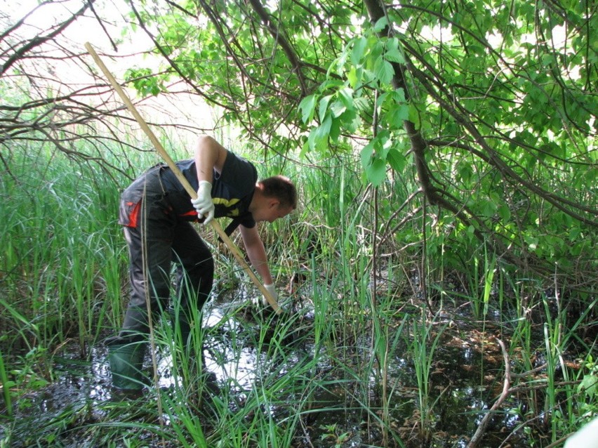 Skarbienice. Uczniowie Zespołu Szkół w Kowalewie sprzątają okolicę jeziora
