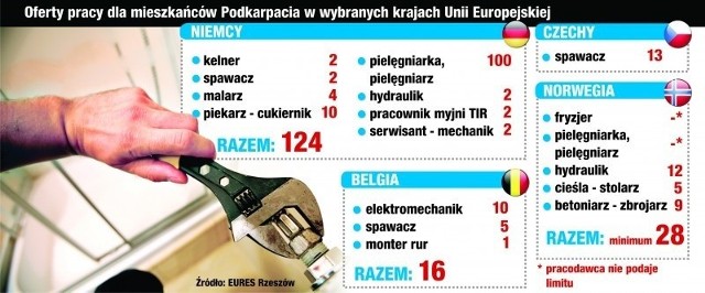 INFOGRAFIKA Lila KKosakowska