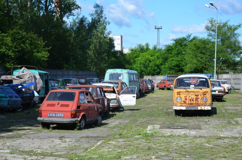 Najwięcej jest maluchów i dużych fiatów, ale jest też "ogórek"...