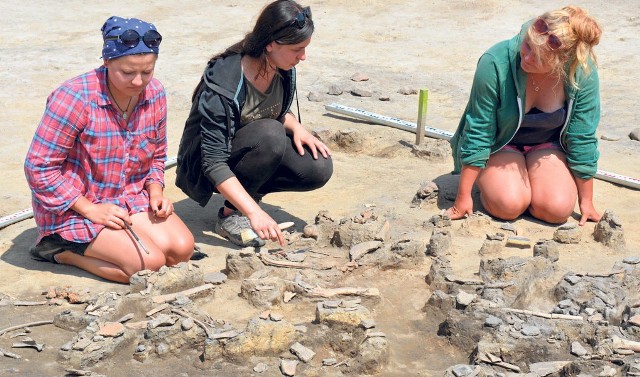 Archeolodzy natrafili na  kultowo-obrzędowe miejsce, nasycone wielką ilością ceramiki, warstw popiołu, kości zwierząt. Są pewni, że grodzisko to należy przypisać scytyjskiemu kręgowi kulturowemu