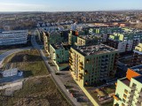 Ceny mieszkań w Krakowie. Raport pokazujący rynek nieruchomości w mieście