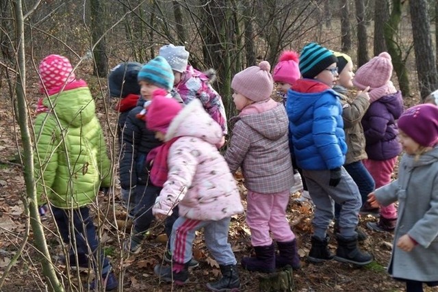 Jedyne w gminie przedszkole samorządowe dla ponad setki maluchów w różnych grupach mieści się w zaadaptowanym przed laty budynku po dworze. Jest ciasno, ale opiekunowie i pracownicy dokładają wiele wysiłku, by dzieciom na niczym nie zbywało, by miały miejsce do zabawy, wypoczynku, nauki.Piotrkowskie przedszkole wyróżnia się pod względem programowym. Realizowanych jest tu kilkanaście różnych programów edukacyjnych, większości autorskich nauczycieli. To m.in. programy: z książką w świat, zdrowe i bezpieczne przedszkole, edukacji regionalnej, o historii, tradycji i obyczajach kujawskich. Są też oczywiście wycieczki...