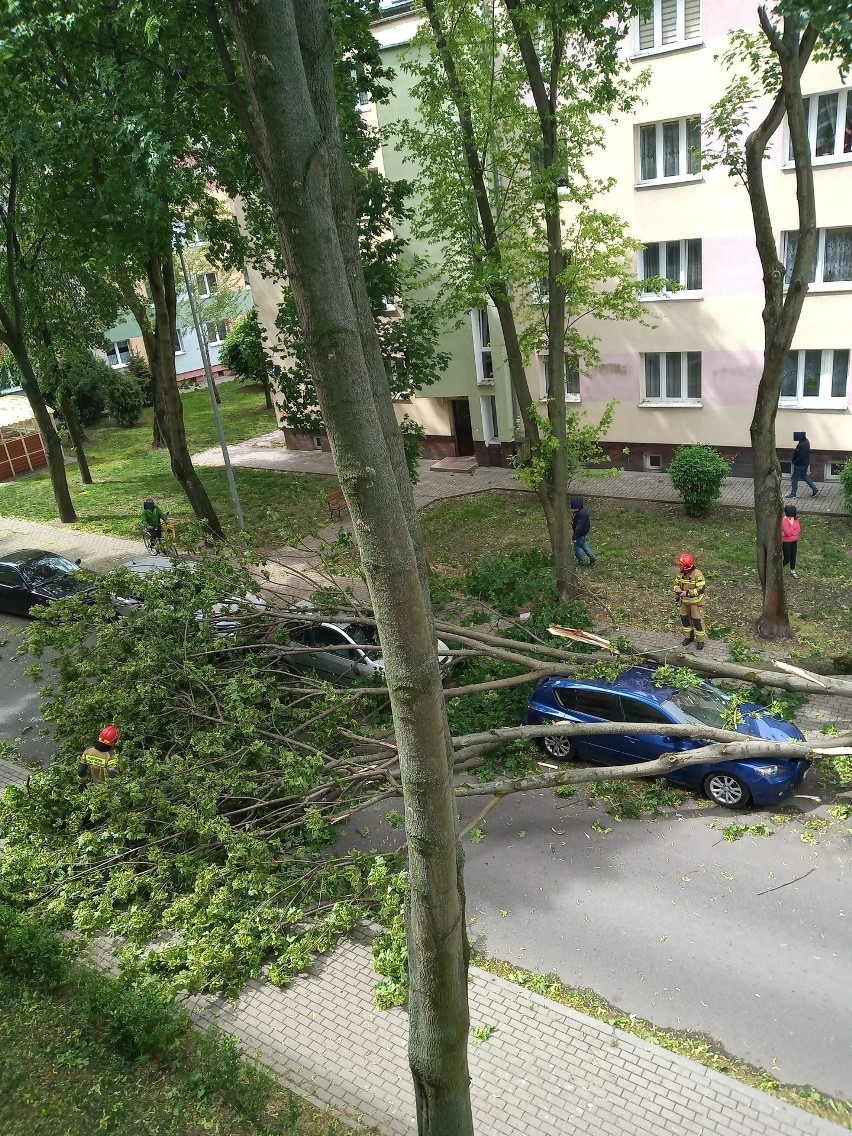 Do najpoważniejszej sytuacji doszło po godzinie 10 przy...