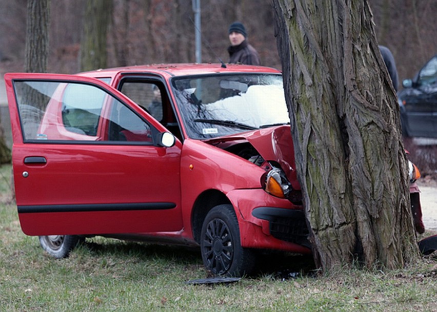 Wypadek w Zielonej Górze. Ranna kobieta przewieziona do szpitala (zdjęcia)