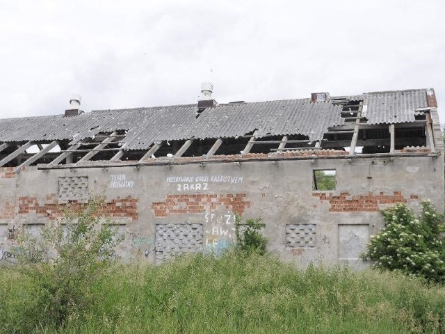 Do środka wejść nie można, ale teren jest nieogrodzony