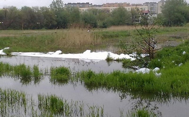 Katastrofa ekologiczna na Borkach. Woda zamieniła się w pianę (zdjęcia)