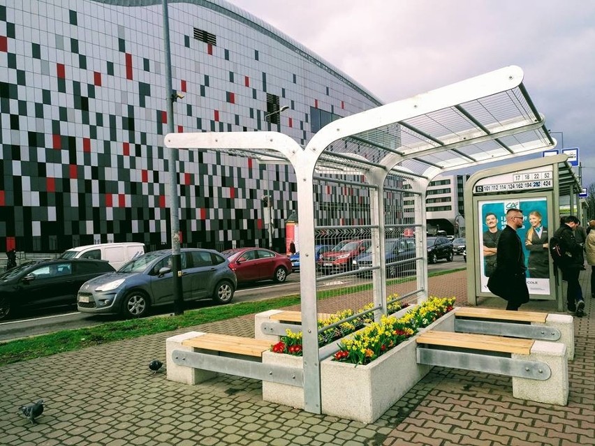 Kraków. Zakwitł zielony przystanek przy Centrum Kongresowym