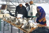 Zakopane: Po 12 latach wyścigi kumoterek wróciły pod Giewont [ZDJĘCIA]