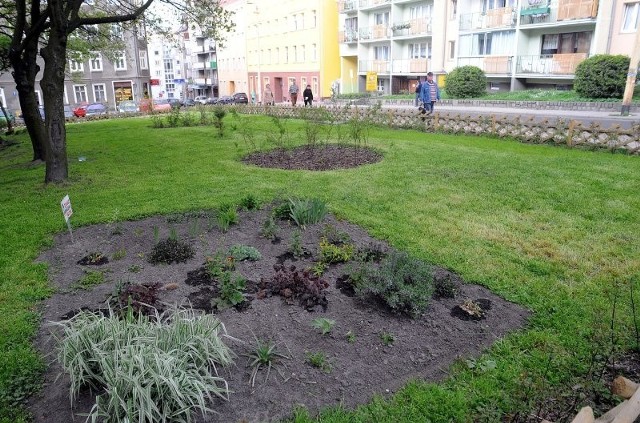 Dzięki miejskiemu dofinansowaniu obskurny plac przy ulicy Parkowej zamienił się w zielony skwer, który stanowi ozdobę tego miejsca.
