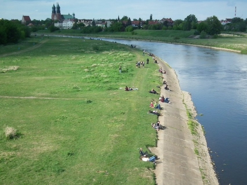 Miasto do końca października tylko na samo sprzątanie...