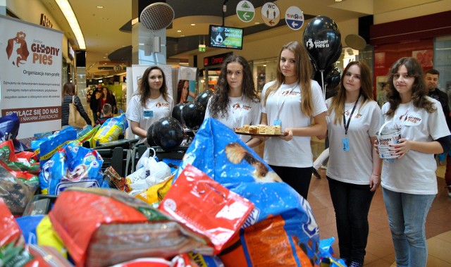 Udało się zgromadzić ponad 700 kg mokrej i suchej karmy oraz makaronu