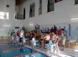 Pływackie Mistrzostwa Szkół Podstawowych [wyniki, zdjęcia]