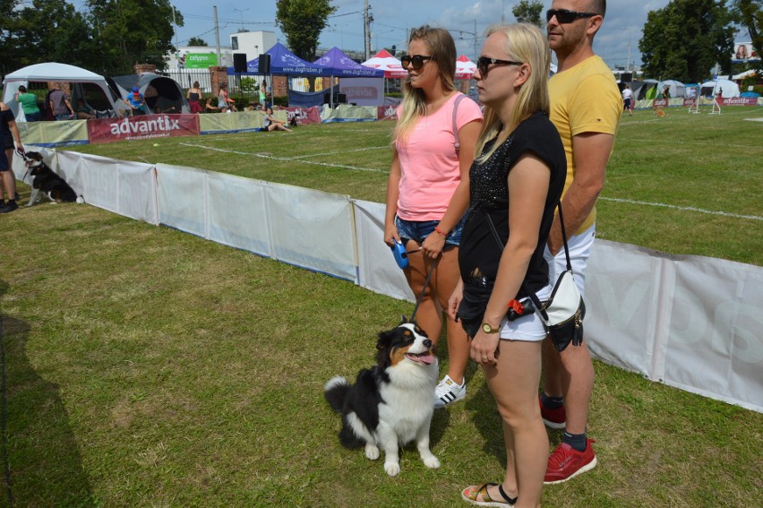 "Latające psy" 2018 w gdyńskim Parku Kolibki, czyli emocjonujące zawody w dogfrisbee