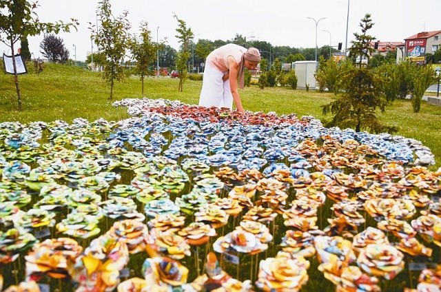 Do stworzenia instalacji użyliśmy około 1000 kwiatów w siedmiu kolorach - mówi Katarzyna Magdziak, autorka instalacji.