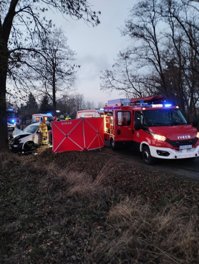 Do tragicznego wypadku doszło w środę 29 listopada o godz. 15.15 w Złotnikach w gminie Dalików w powiecie poddębickim.