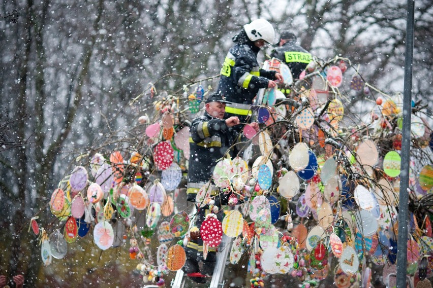1500 papierowych jajek na drzewie w Słupsku.