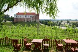 Centrum Winiarstwa powstanie w przyklasztornych budynkach w Sandomierzu