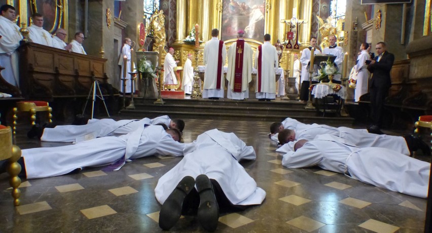 Diecezja kielecka ma siedmiu nowych księży. Święcenia...