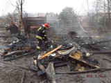 Pożar kurnika w gminie Chęciny. Spłonęły kurczęta, indyki i gołębie 